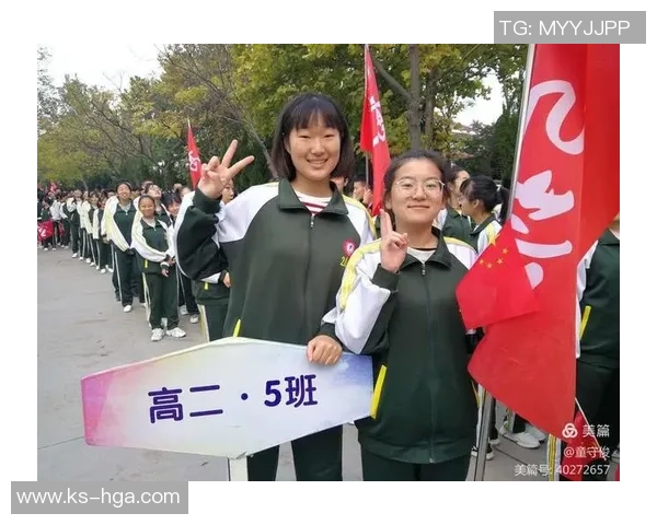 小学篮球队的成长之路：团结拼搏与梦想的追逐